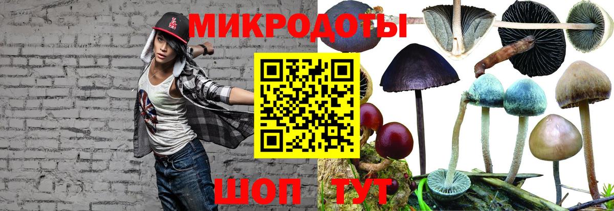 Псилоцибиновые грибы мухоморы Саянск